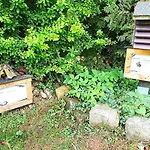 Feriehus Talblick 2 -- Ihr Zuhause Mitten Im Idyllischen Tal *