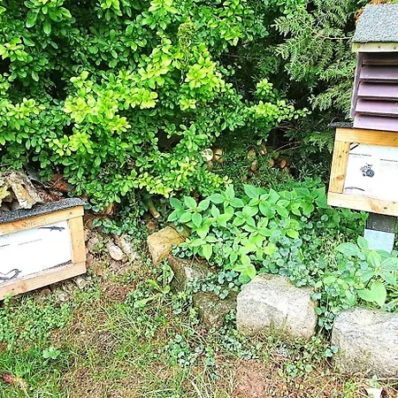 Ferienhaus Talblick 2 -- Ihr Zuhause Mitten Im Idyllischen Tal *